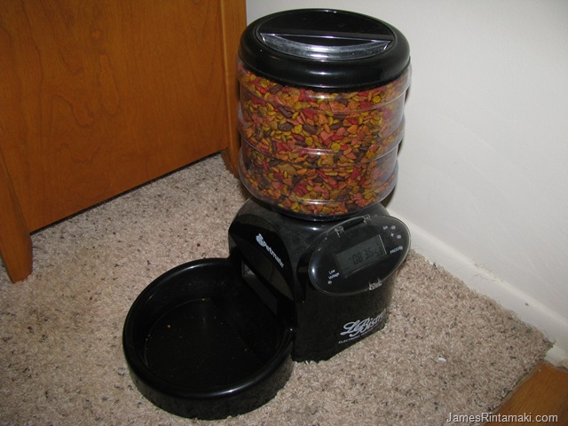 picture of the le bistro pet feeder